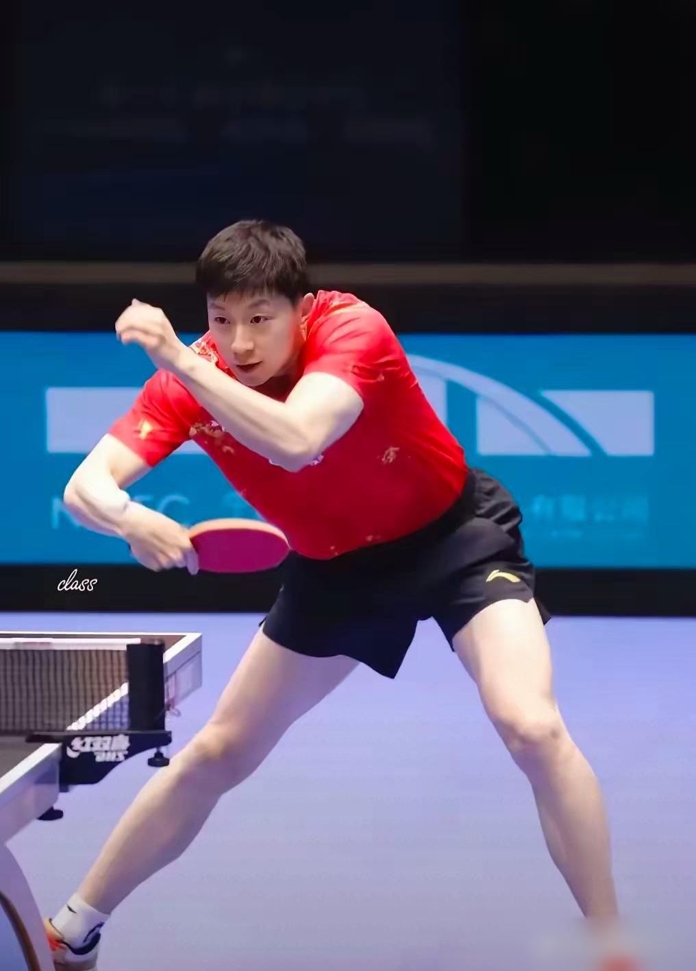 波兰队横扫中国队，马龙高光表现